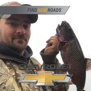 Meet your Posher, Bobby